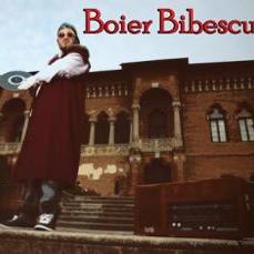 Boier Bibescu, Nicola Fasano, Puya
