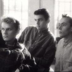 Boytronic, Hammer, Herbick