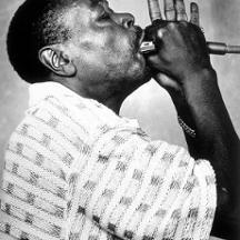 Billy Branch, Carey Bell, James Cotton, Junior Wells