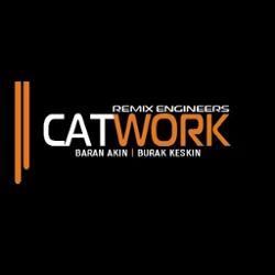 Catwork Remix Engineers, Ian Carey