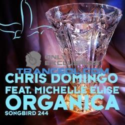 Chris Domingo, Miss T.