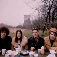 Dandy Warhols, Mousse T