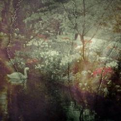 Elodie, John Dahlback