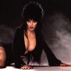 Elvira, МС Золотой