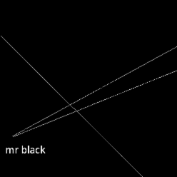 Mr. Black