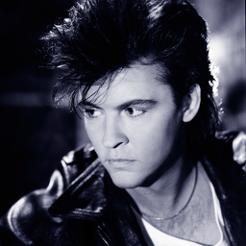 Paul Young, Zucchero