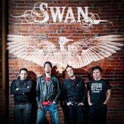 Swan